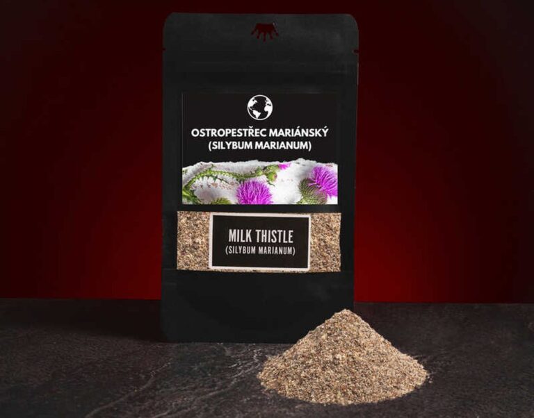 Ostropestřec mariánský je tou nejlepší přírodní podporou pro vaše játra